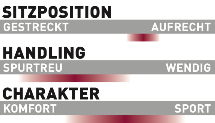 Giant Reign E+1 - Characteristics