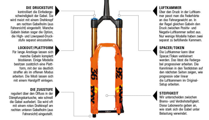   Technical terms: Lexicon suspension forks