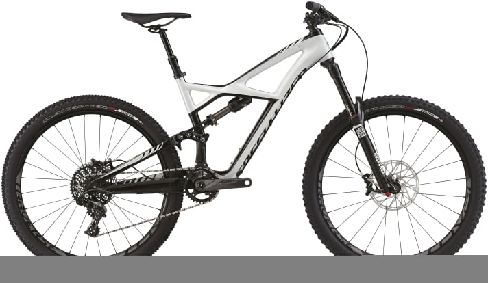   Enduro Expert Carbon 650B