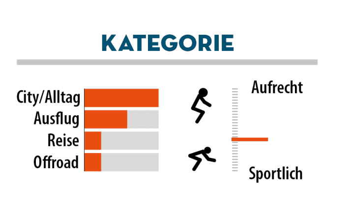 Das Rose Sneak ist ein sportliches Rad für City und Alltag und kleine Ausflüge.