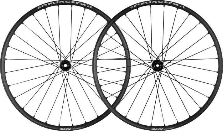The Crosstrail SL, E-Crosstrail SL and E-Deemax S are extremely close to each other in terms of price and weight. Here is the light E-MTB version E-Crosstrail for 749 euros.