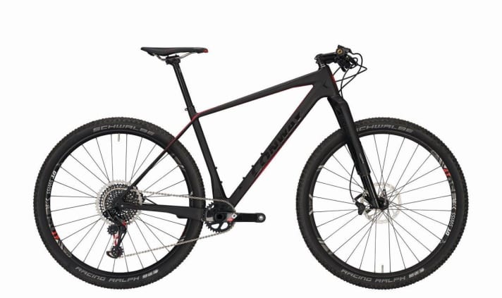  The top version, which costs 4599.95 euros, weighs in at 9.7 kilograms. All models use the same frame.