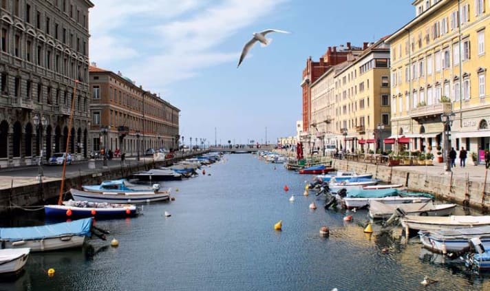   Later, in Trieste, the mountains are just a memory 