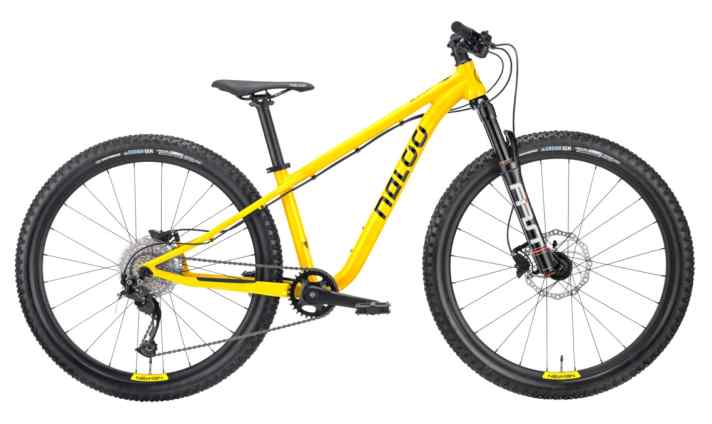 Das Hill Bill ohne den Zusatz Pro ist etwas günstiger ausgestattet, kostet aber auch 300 Euro weniger