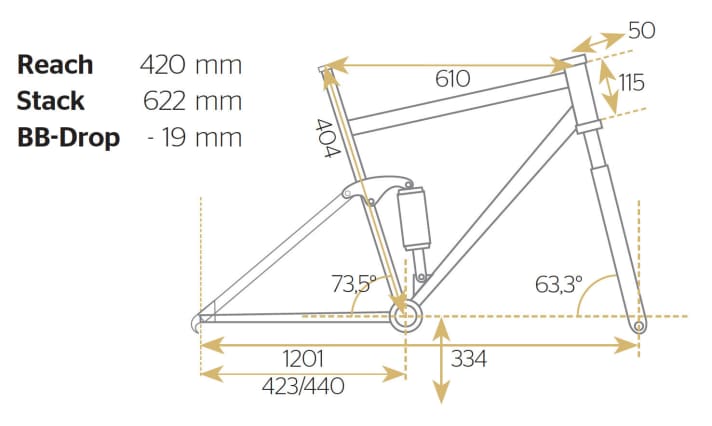   Test 2015 Big Bikes: Scott Gambler 710
