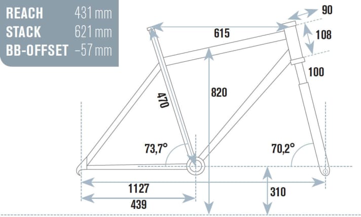   Test 2015 Race-Hardtails: Radon Black Sin 8.0