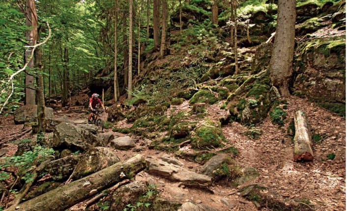   Alltag ausgebremst: Tom rauscht durch den felsverblockten Trail hinunter nach Bodenmais, lässt Stress und Probleme zurück und atmet Luft aus Buchenblättern.