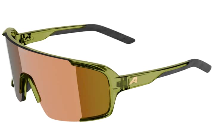 Alpina Lumin for 69 euros.