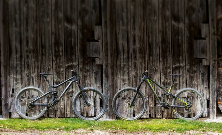   Duell: Radon Jab (links) gegen Rose Pikes Peak (rechts