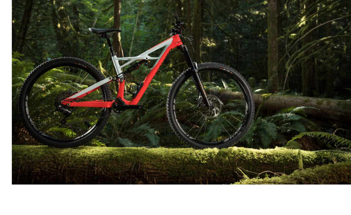   The Specialized Enduro is available in either 27.5 or 29 inches. Plus tyres can also be fitted to the frame of the 29er.