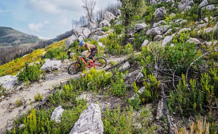 Unobstructed view: Monte Pisano has a view because a fire has burnt down the trees.