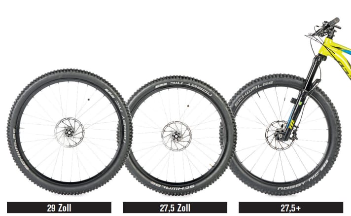   The tyre sizes 29 inch, 27.5 inch and 27.5 +