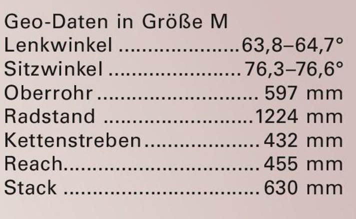 Die Geometriedaten des Radon Jab MX 10.0 HD
