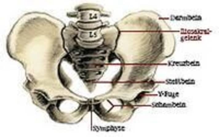 (Illustration: J. Reiner)