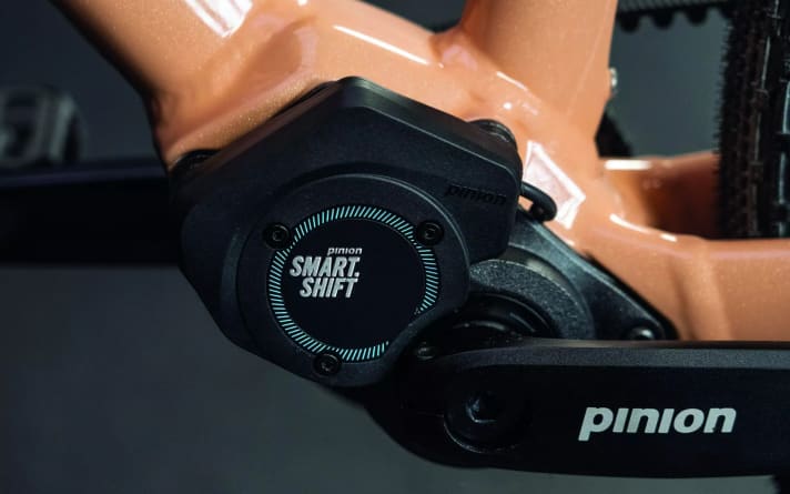 The Pinion gearbox on the Wilhelm makes a lot of sense. Although it can certainly be considered luxurious, it is currently the most robust gear shifting solution on the market.