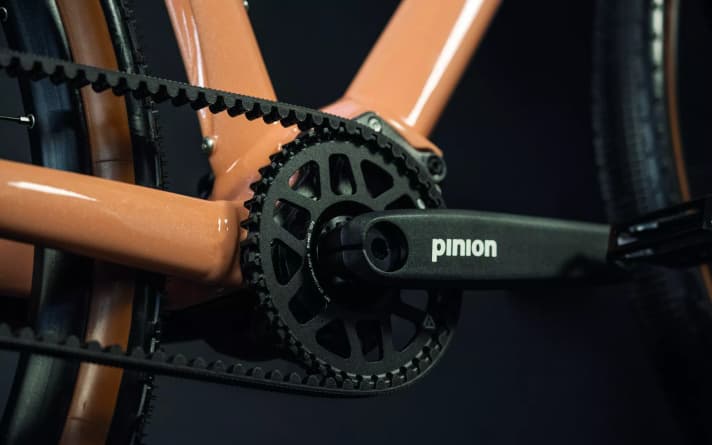 12 gears and a high-quality Carbondrive drive belt - that's all you can do to prevent wear on the drive.