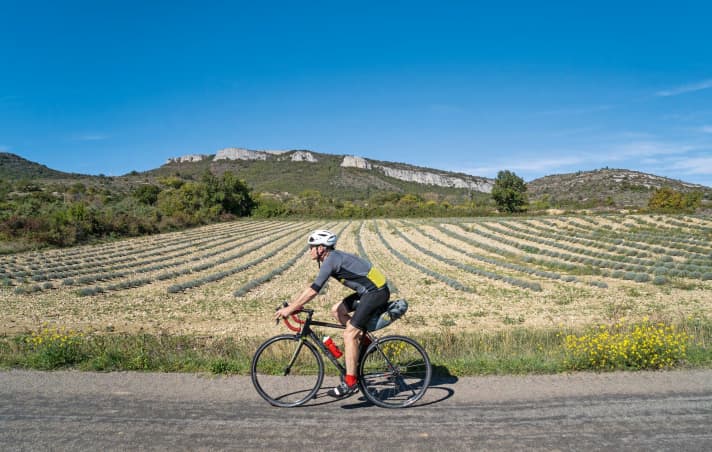 Hauteur aride : le tour 2 mène sur le plateau aride de Coiron, que les bergers traversent également avec leurs troupeaux.