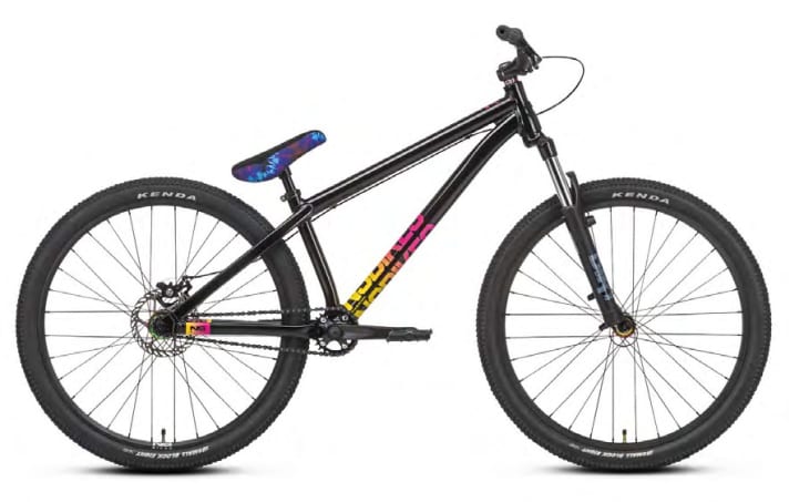 NS Zircus: 12.3 kilos, 929 euros