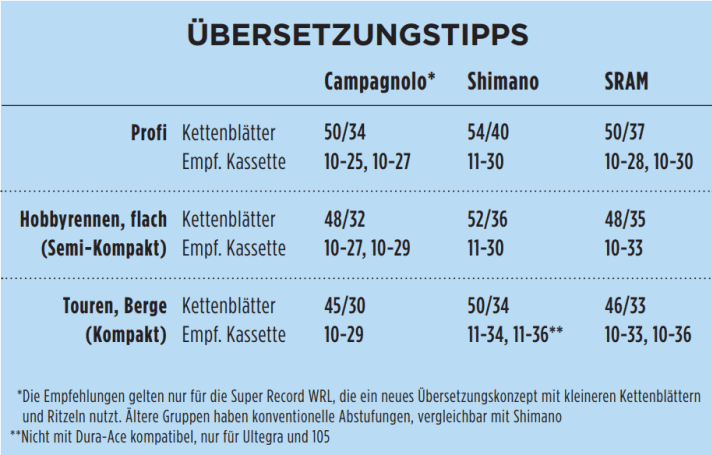 Unsere Übersetzungstipps