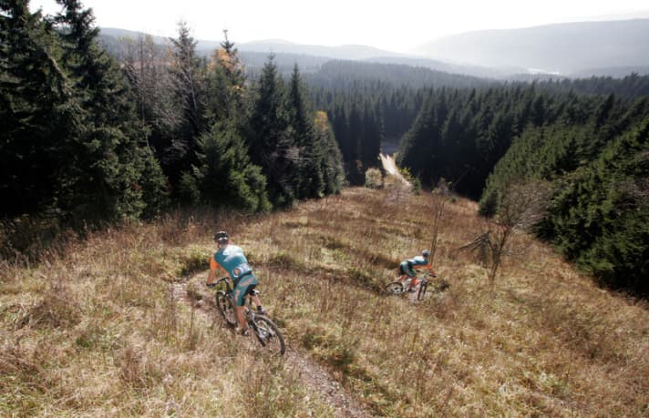   Wie hingemalt, aber knifflig: die Trail-Serpentinen hinterm Schneckenstein.