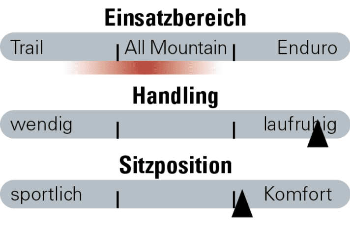 Einsatzbereiche des Forbidden Druid