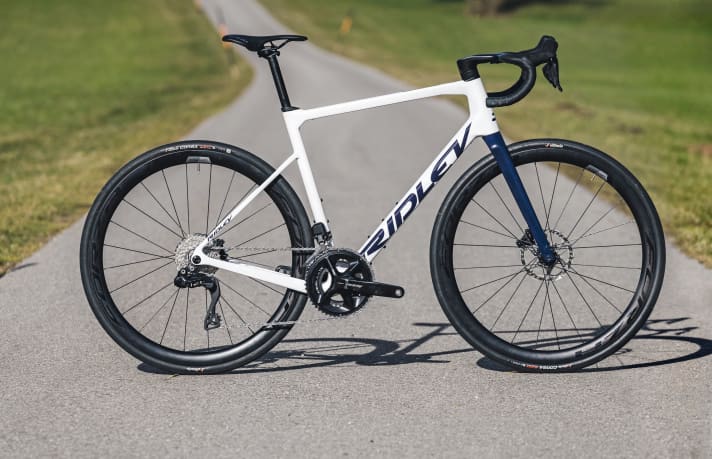 Le Ridley Grifn