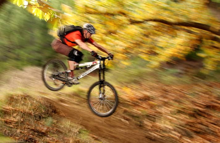   Alpine chamois: Bionicon Reed 140 Air 2011