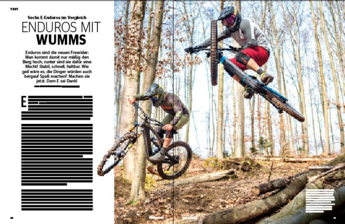   E-freeriders in a comparison test.