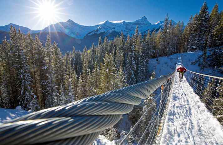 Snow biking: Not everyone's cup of tea.