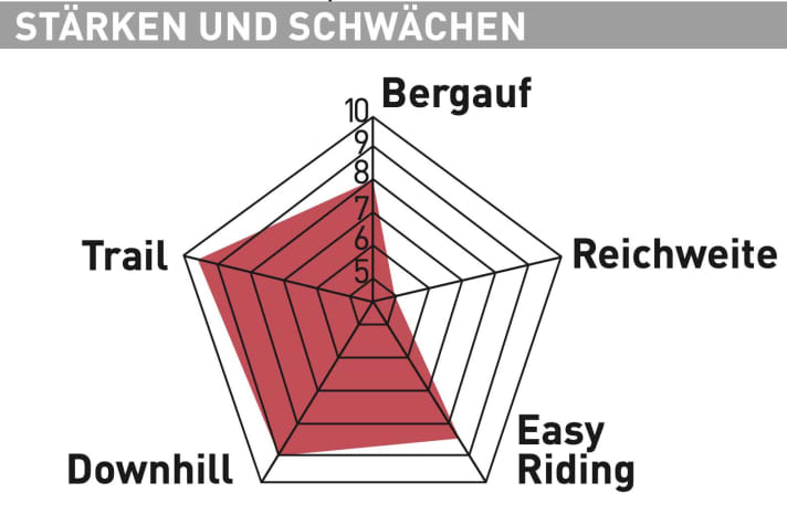 Forestal Cyon Halo - Test diagram