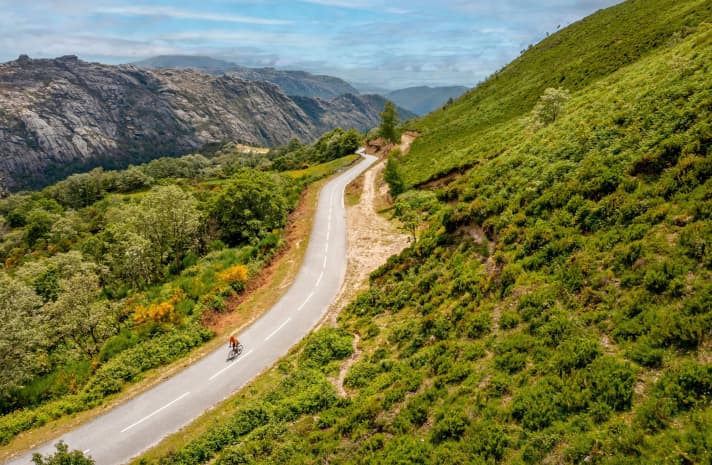 Bergeinsamkeit: Schmale Straßen führen durch den Nationalpark Peneda-Gerês, in dem Radler eher auf halbwilde Garrano-Pferde achten müssen als auf Autos.