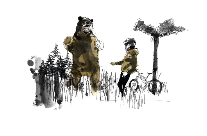 Nightmare: Suddenly a bear is standing in front of you! A situation that can happen not only in Canada, but also here.