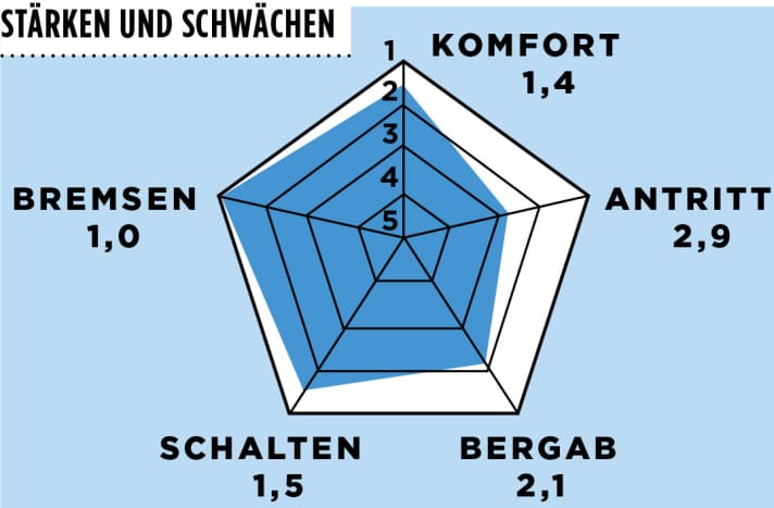   Focus Cayo 3.0 Disc 2015