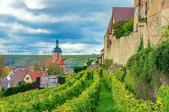 Lauffen ist Startpunkt der Wein-Land-Fluss-Tour durchs Heilbronner Land.