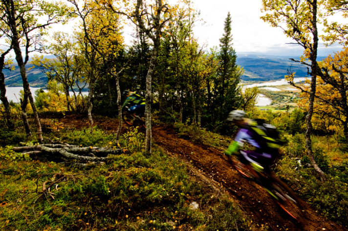   Da lacht das Biker-Herz: Wir weihen einen brandneuen All-Mountain-Trail oberhalb des Bikeparks ein.