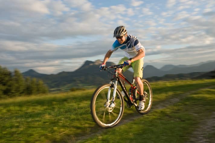   Felt Edict Nine Ltd. 2013