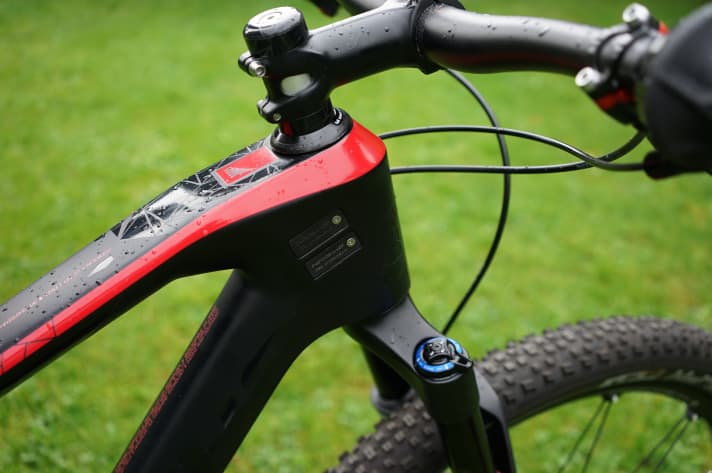   The carbon frame appeals with its voluminous shape.