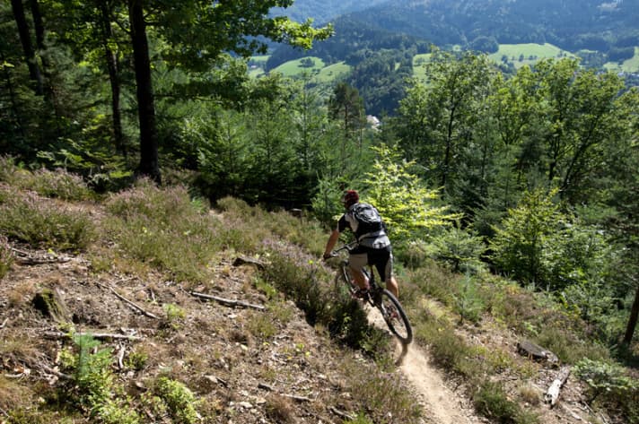   Marcus Klausmann in zivilem Touren-Outfit auf den MTB-Trails rund um Freiburg.
