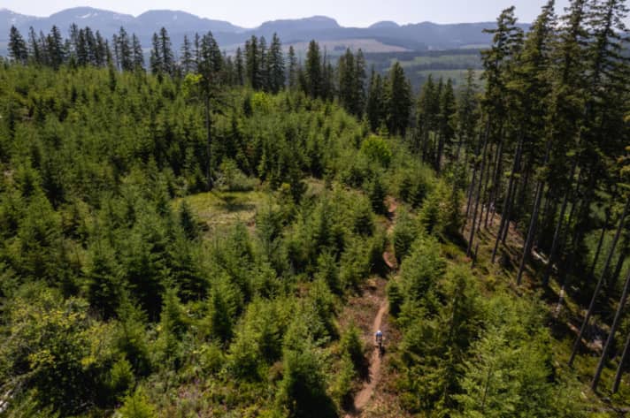 The area around Cumberland is also very idyllic - or lonely. On the trail, however, it gets down to business.