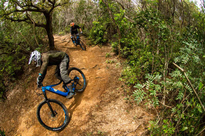 Im Hinterland von Punta Ala wurde über die Wintermonate das gesamte Trail-Netz überholt.