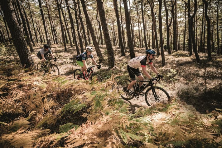Oft sind Vielfahrer nicht nur auf dem Mountainbike, sondern auch auf dem Rennrad oder dem Gravelbike unterwegs.