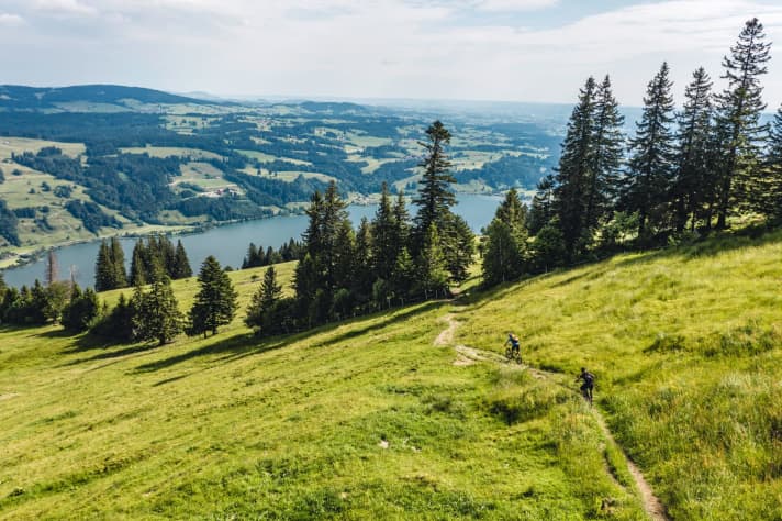   Even if the next gate won't be long in coming, the trail from the Gschwender Alpe to the Alpsee elicits a few cheers