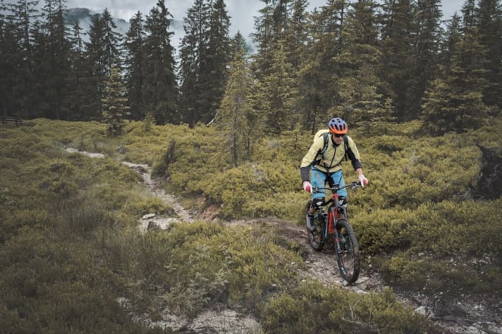   Die Kraftentfaltung des Giant Syncdrive Mittelmotors ist sehr harmonisch. Allerdings fehlt ihm bei hoher Trittfrequenz die Power.