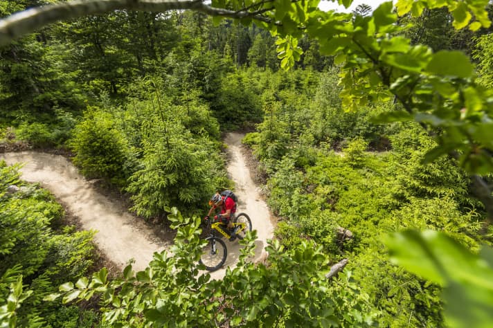   Im oberen Teil des Uphill Flow Trails.