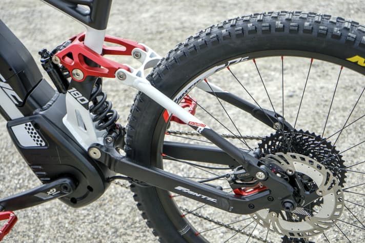   It couldn't be more solid: the rear triangle is designed for maximum stability and durability.