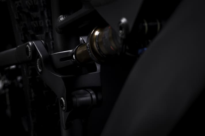   Die Hinterbau-Lager haben die Basken für eine längere Lebensdauer verstärkt.