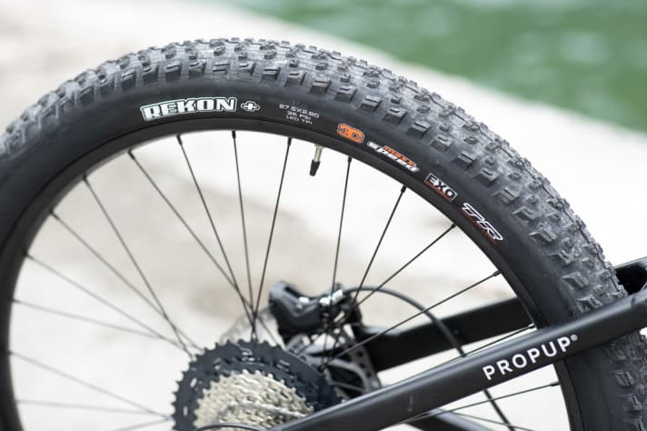   Plus für mehr Komfort: Bärenbikes vertraut auf eine voluminöse Bereifung.