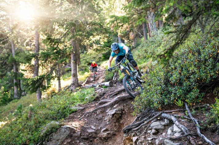   Haideralm-Trail: Der Haideralm-Trail teilt mit seinen zornigen Wurzeln richtig aus. Bei Nässe wird’s gefährlich. Gut: Es gibt eine zahmere Alternative.