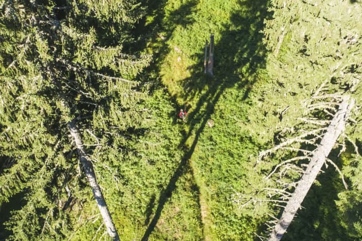   Matzalm Trail für Enduro und Freeride Fun