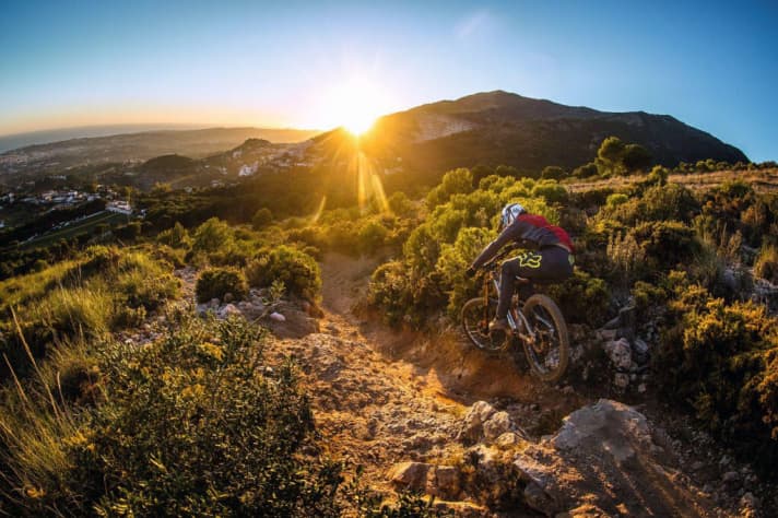   We can only dream of this in January: sun-drenched, dusty trails like in Malaga/Spain.